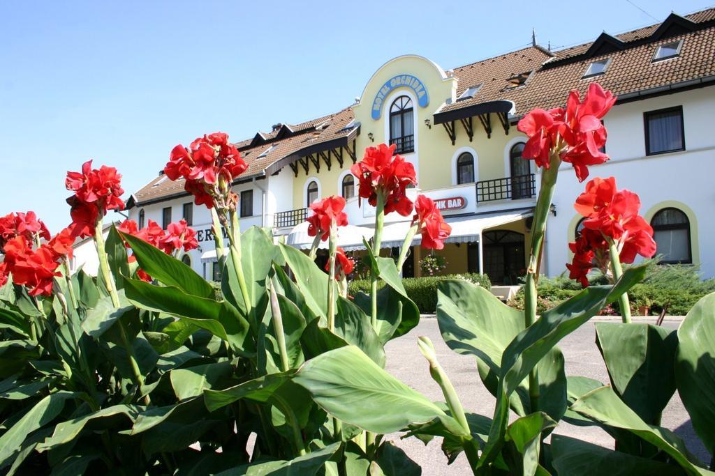 Hotel Orchidea Balástya Exteriér fotografie